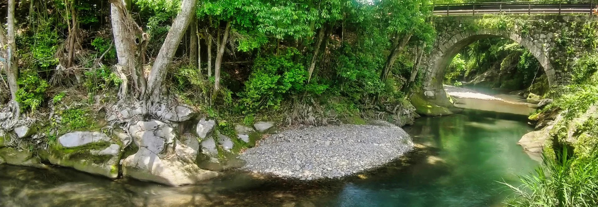 緑の流域治水スタディツアー