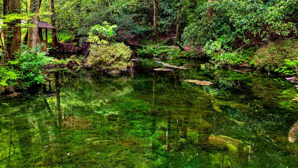 熊本県阿蘇市の池山水源